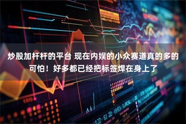 炒股加杆杆的平台 现在内娱的小众赛道真的多的可怕！好多都已经把标签焊在身上了