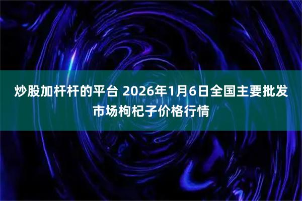 炒股加杆杆的平台 2026年1月6日全国主要批发市场枸杞子价格行情