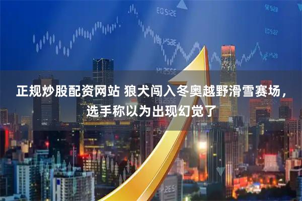 正规炒股配资网站 狼犬闯入冬奥越野滑雪赛场，选手称以为出现幻觉了