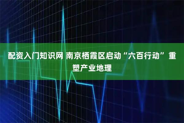 配资入门知识网 南京栖霞区启动“六百行动” 重塑产业地理